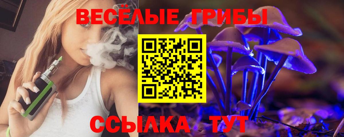Псилоцибиновые грибы прущие грибы Кудымкар
